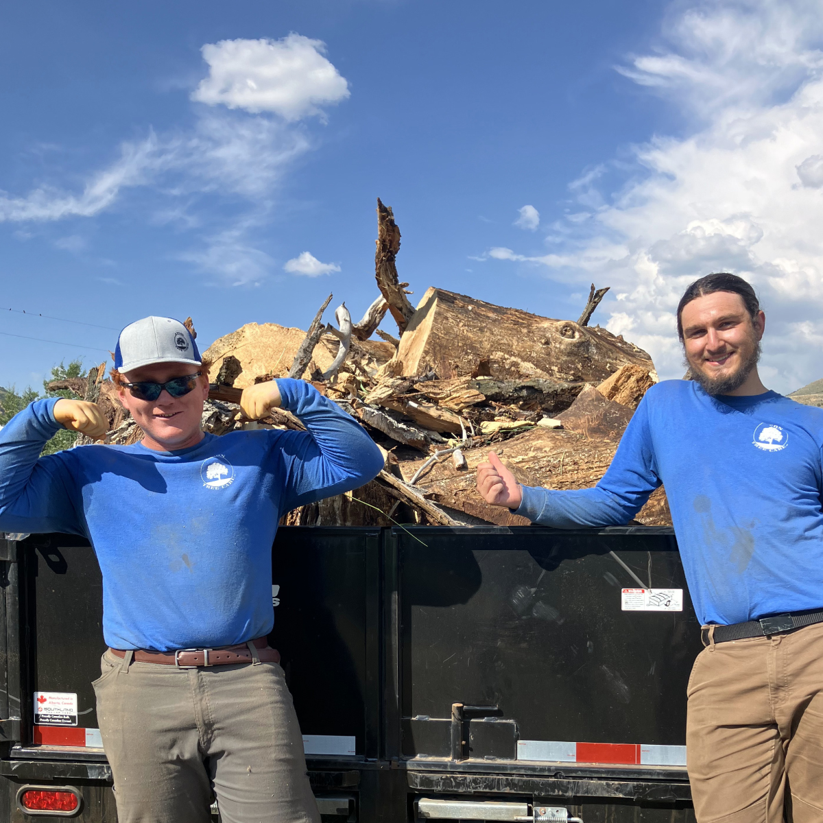 dumpster-full-of-trees