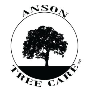 Anson-Tree-Care-Logo